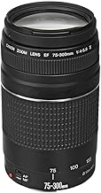Canon Video Lenses for Beginners: Everything You Need to Know